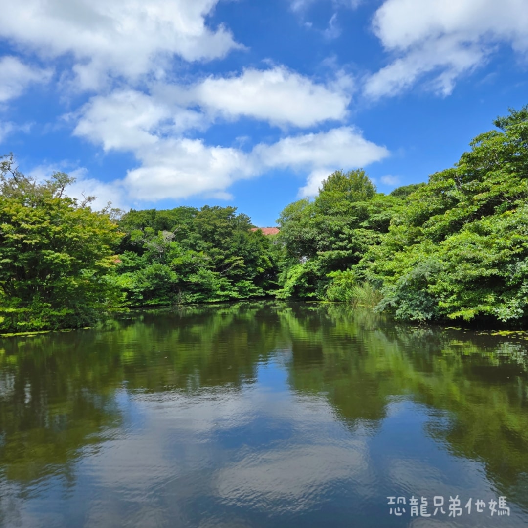 韓國‧濟州島│親子必玩 “ECOLAND 森林小火車樂園 “，夏日限定超刺激水槍大戰，園區好美好玩又好拍，大草皮上餵馬羊，限定表演秀!2025.8