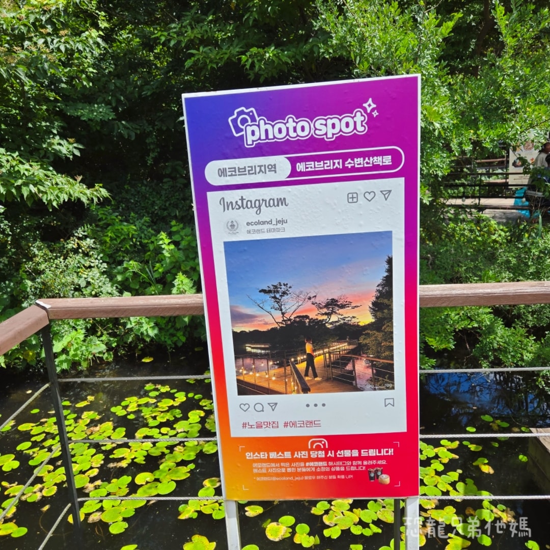 韓國‧濟州島│親子必玩 “ECOLAND 森林小火車樂園 “，夏日限定超刺激水槍大戰，園區好美好玩又好拍，大草皮上餵馬羊，限定表演秀!2025.8