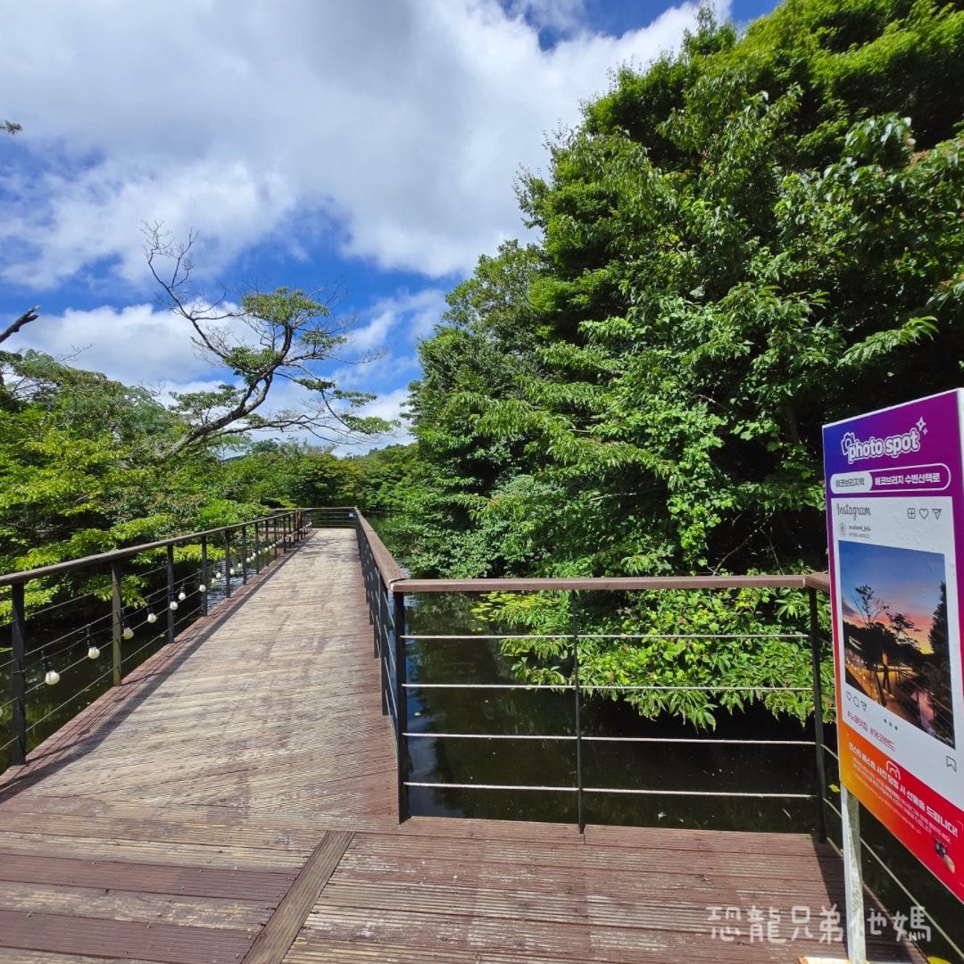 韓國‧濟州島│親子必玩 “ECOLAND 森林小火車樂園 “，夏日限定超刺激水槍大戰，園區好美好玩又好拍，大草皮上餵馬羊，限定表演秀!2025.8