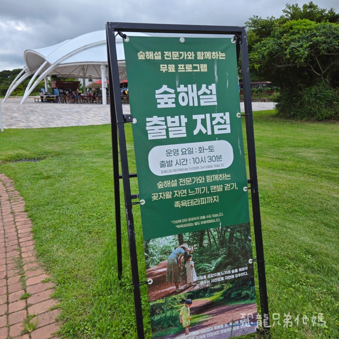 韓國‧濟州島│親子必玩 “ECOLAND 森林小火車樂園 “，夏日限定超刺激水槍大戰，園區好美好玩又好拍，大草皮上餵馬羊，限定表演秀!2025.8