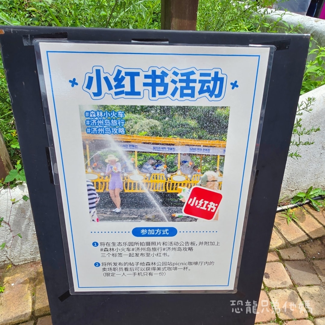 韓國‧濟州島│親子必玩 “ECOLAND 森林小火車樂園 “，夏日限定超刺激水槍大戰，園區好美好玩又好拍，大草皮上餵馬羊，限定表演秀!2025.8