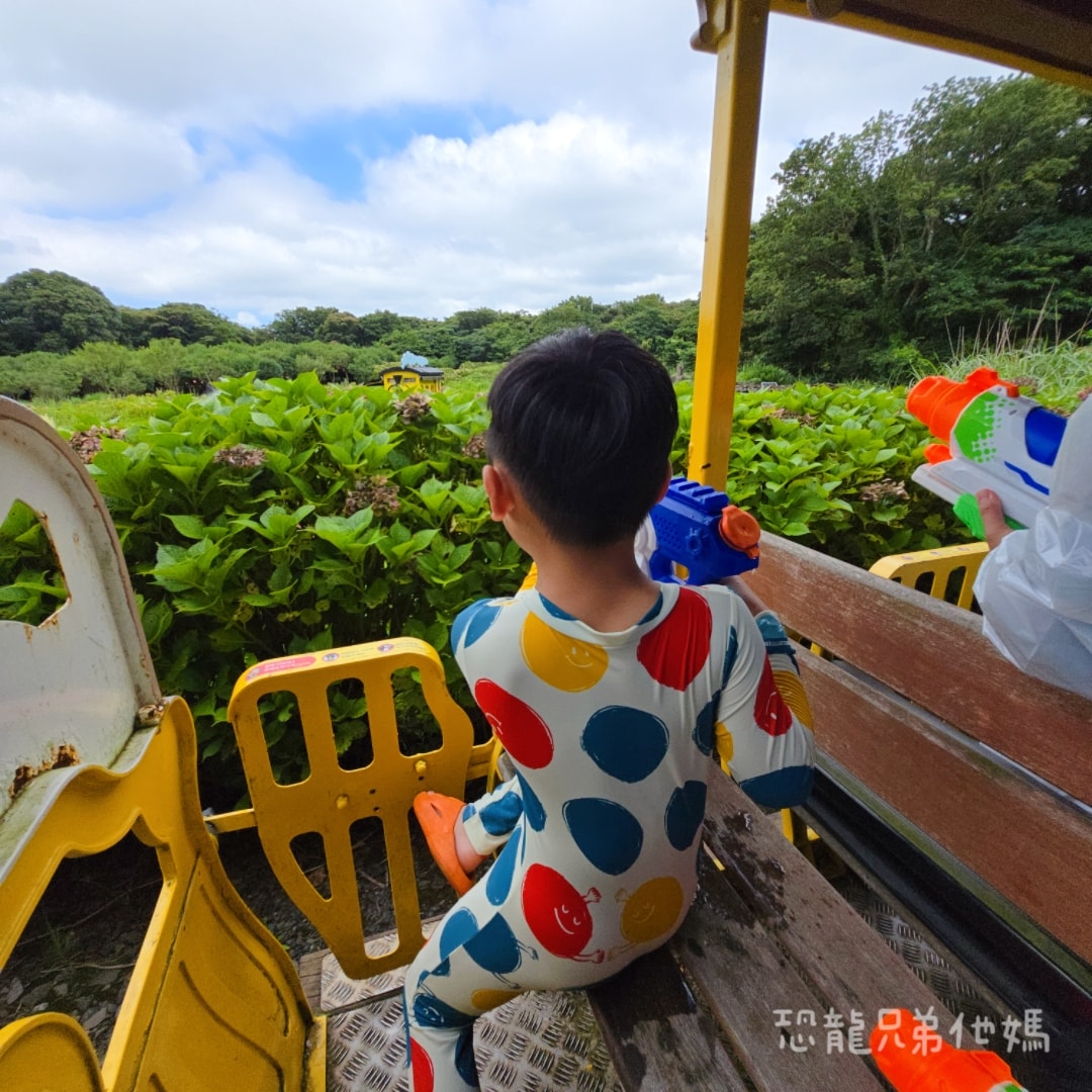 韓國‧濟州島│親子必玩 “ECOLAND 森林小火車樂園 “，夏日限定超刺激水槍大戰，園區好美好玩又好拍，大草皮上餵馬羊，限定表演秀!2025.8