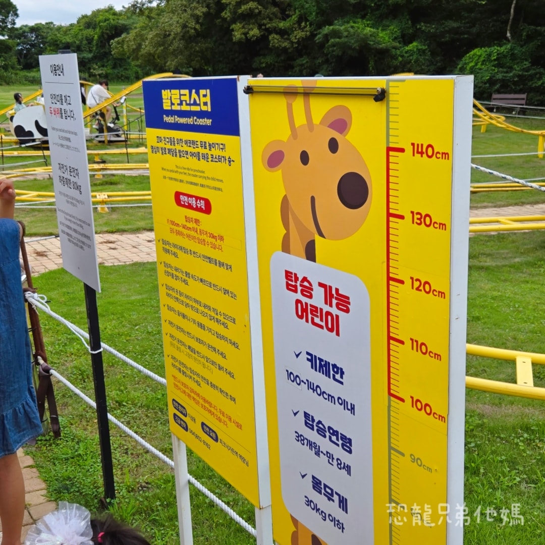 韓國‧濟州島│親子必玩 “ECOLAND 森林小火車樂園 “，夏日限定超刺激水槍大戰，園區好美好玩又好拍，大草皮上餵馬羊，限定表演秀!2025.8