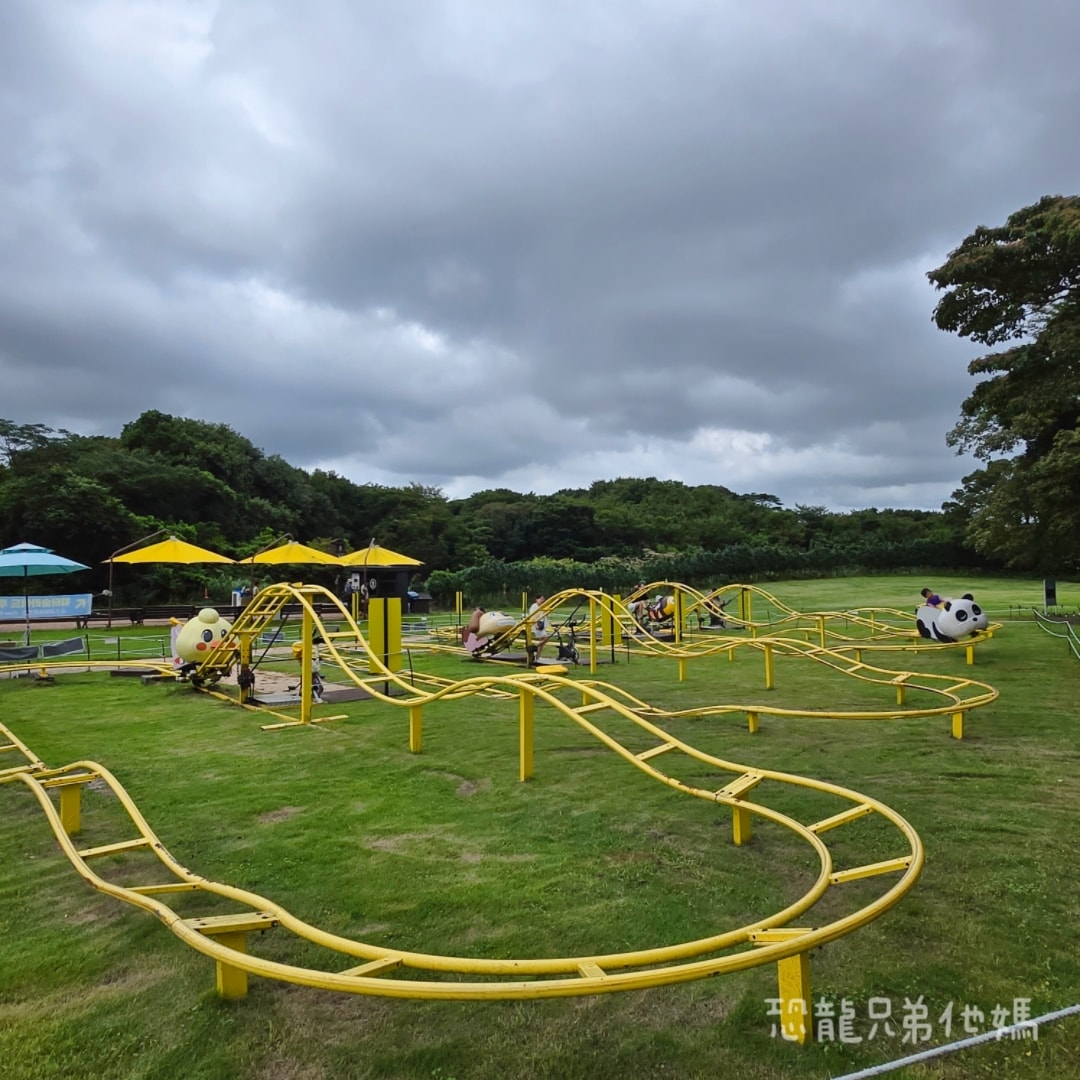 韓國‧濟州島│親子必玩 “ECOLAND 森林小火車樂園 “，夏日限定超刺激水槍大戰，園區好美好玩又好拍，大草皮上餵馬羊，限定表演秀!2025.8
