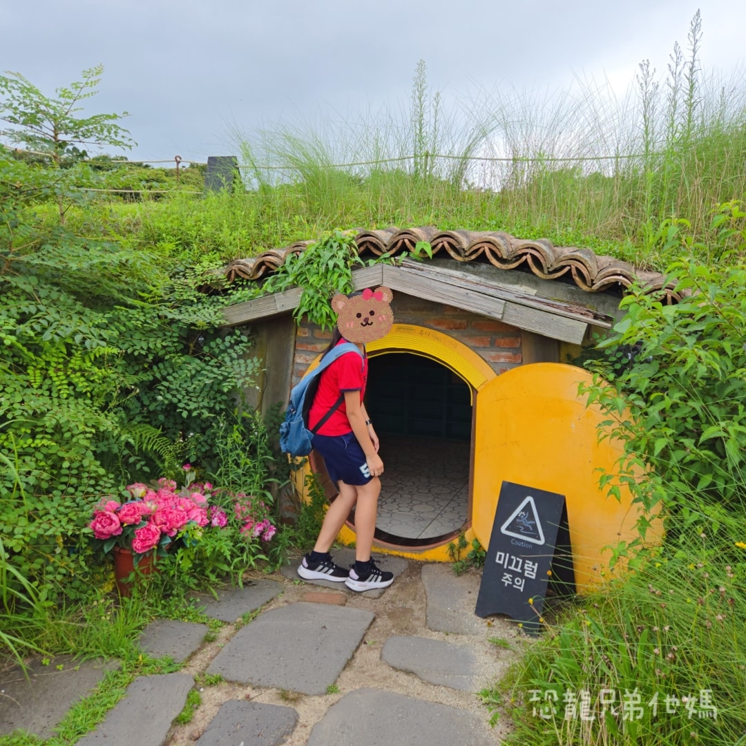 韓國‧濟州島│親子必玩 “ECOLAND 森林小火車樂園 “，夏日限定超刺激水槍大戰，園區好美好玩又好拍，大草皮上餵馬羊，限定表演秀!2025.8