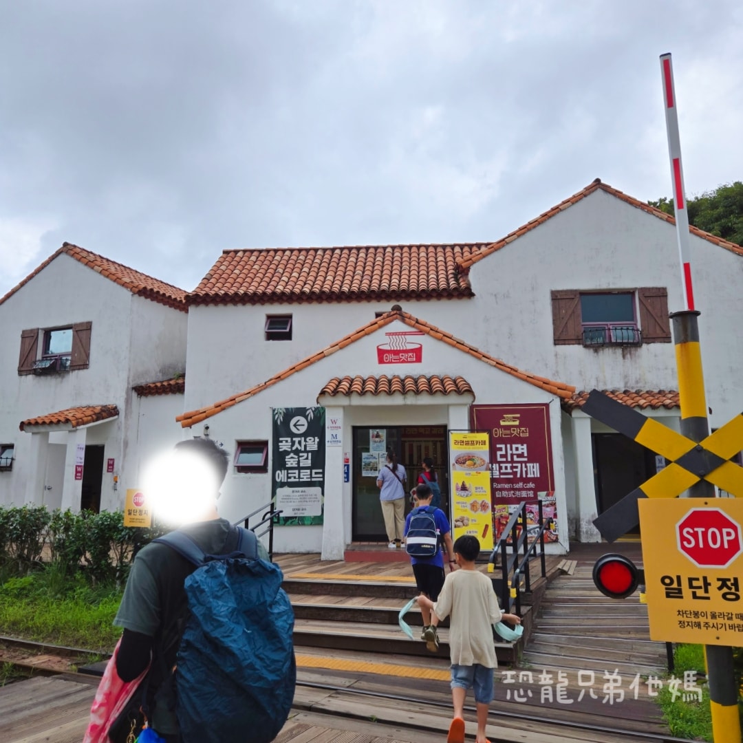 韓國‧濟州島│親子必玩 “ECOLAND 森林小火車樂園 “，夏日限定超刺激水槍大戰，園區好美好玩又好拍，大草皮上餵馬羊，限定表演秀!2025.8