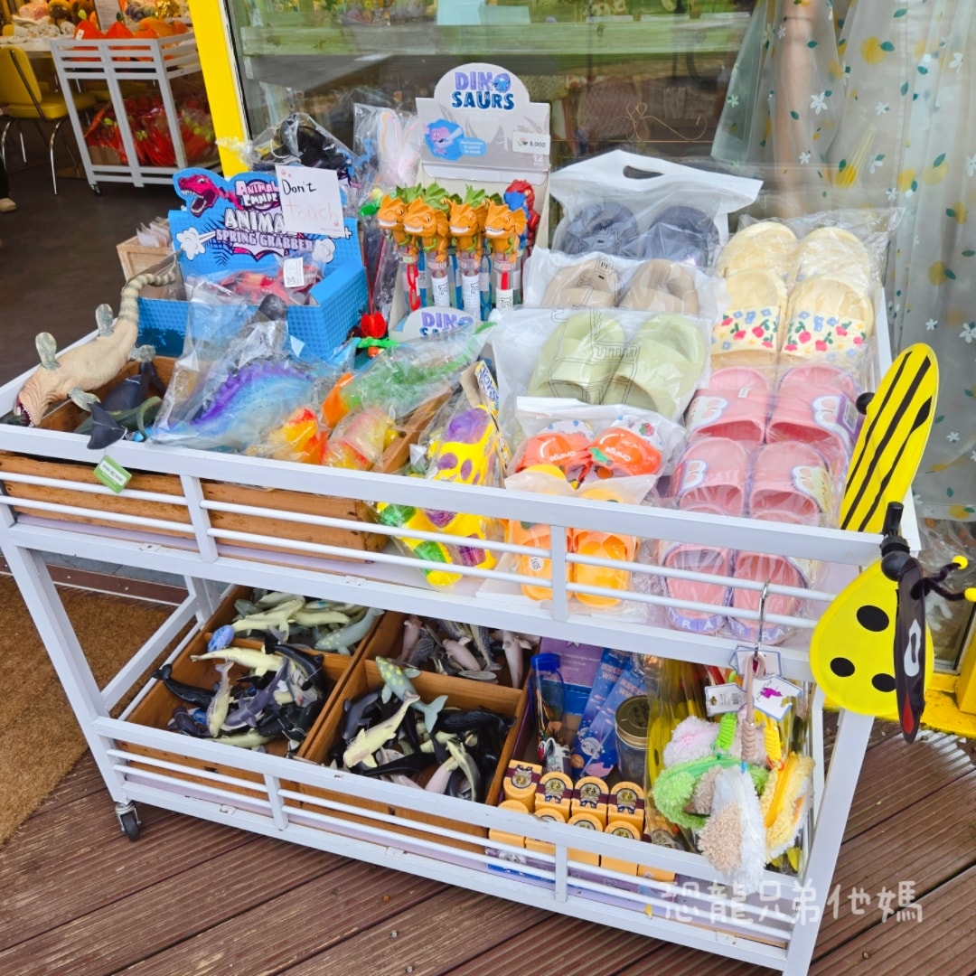 韓國‧濟州島│親子必玩 “ECOLAND 森林小火車樂園 “，夏日限定超刺激水槍大戰，園區好美好玩又好拍，大草皮上餵馬羊，限定表演秀!2025.8