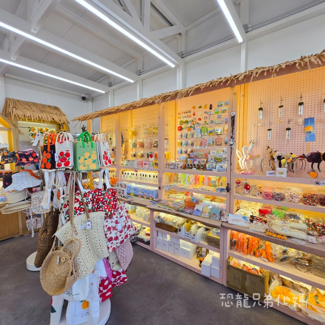 韓國‧濟州島│親子必玩 “ECOLAND 森林小火車樂園 “，夏日限定超刺激水槍大戰，園區好美好玩又好拍，大草皮上餵馬羊，限定表演秀!2025.8