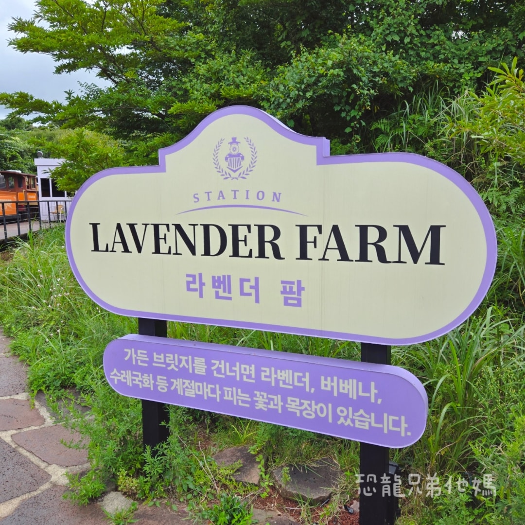 韓國‧濟州島│親子必玩 “ECOLAND 森林小火車樂園 “，夏日限定超刺激水槍大戰，園區好美好玩又好拍，大草皮上餵馬羊，限定表演秀!2025.8