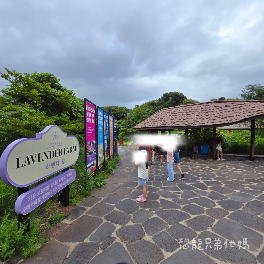 韓國‧濟州島│親子必玩 “ECOLAND 森林小火車樂園 “，夏日限定超刺激水槍大戰，園區好美好玩又好拍，大草皮上餵馬羊，限定表演秀!2025.8