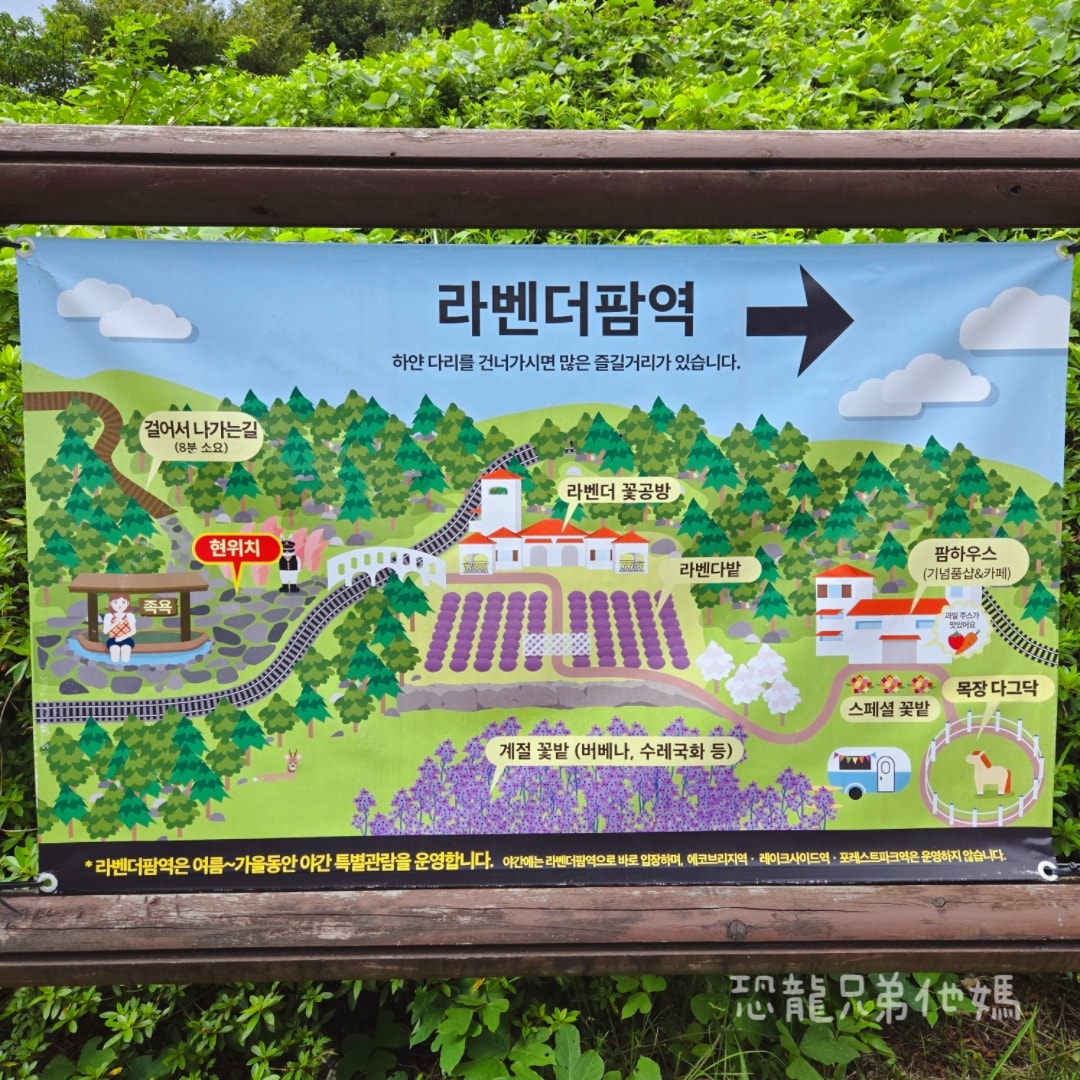韓國‧濟州島│親子必玩 “ECOLAND 森林小火車樂園 “，夏日限定超刺激水槍大戰，園區好美好玩又好拍，大草皮上餵馬羊，限定表演秀!2025.8