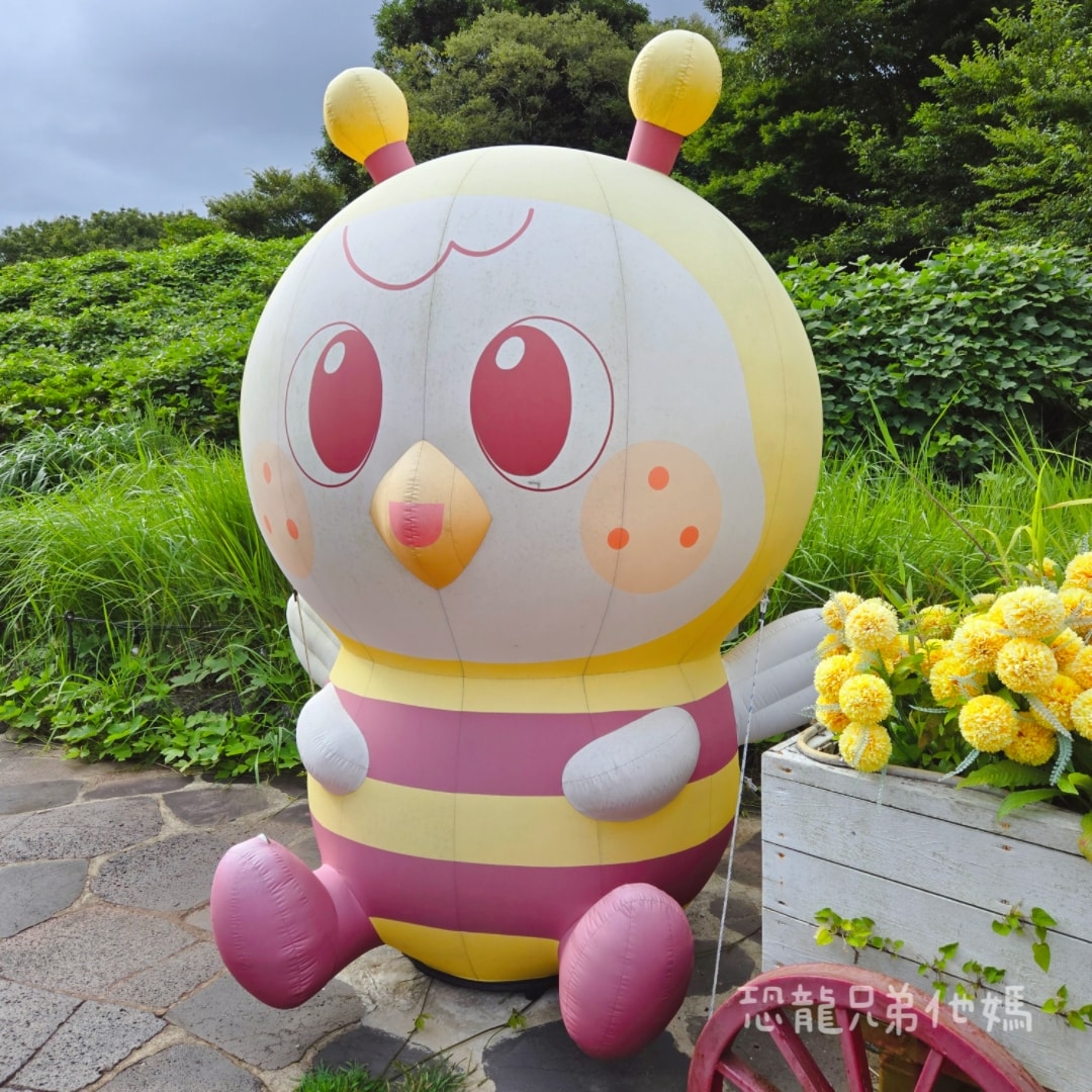 韓國‧濟州島│親子必玩 “ECOLAND 森林小火車樂園 “，夏日限定超刺激水槍大戰，園區好美好玩又好拍，大草皮上餵馬羊，限定表演秀!2025.8