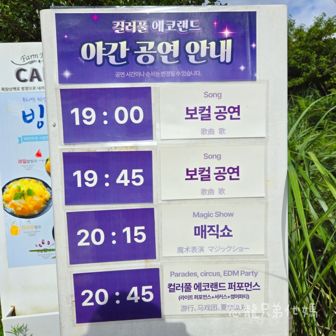 韓國‧濟州島│親子必玩 “ECOLAND 森林小火車樂園 “，夏日限定超刺激水槍大戰，園區好美好玩又好拍，大草皮上餵馬羊，限定表演秀!2025.8
