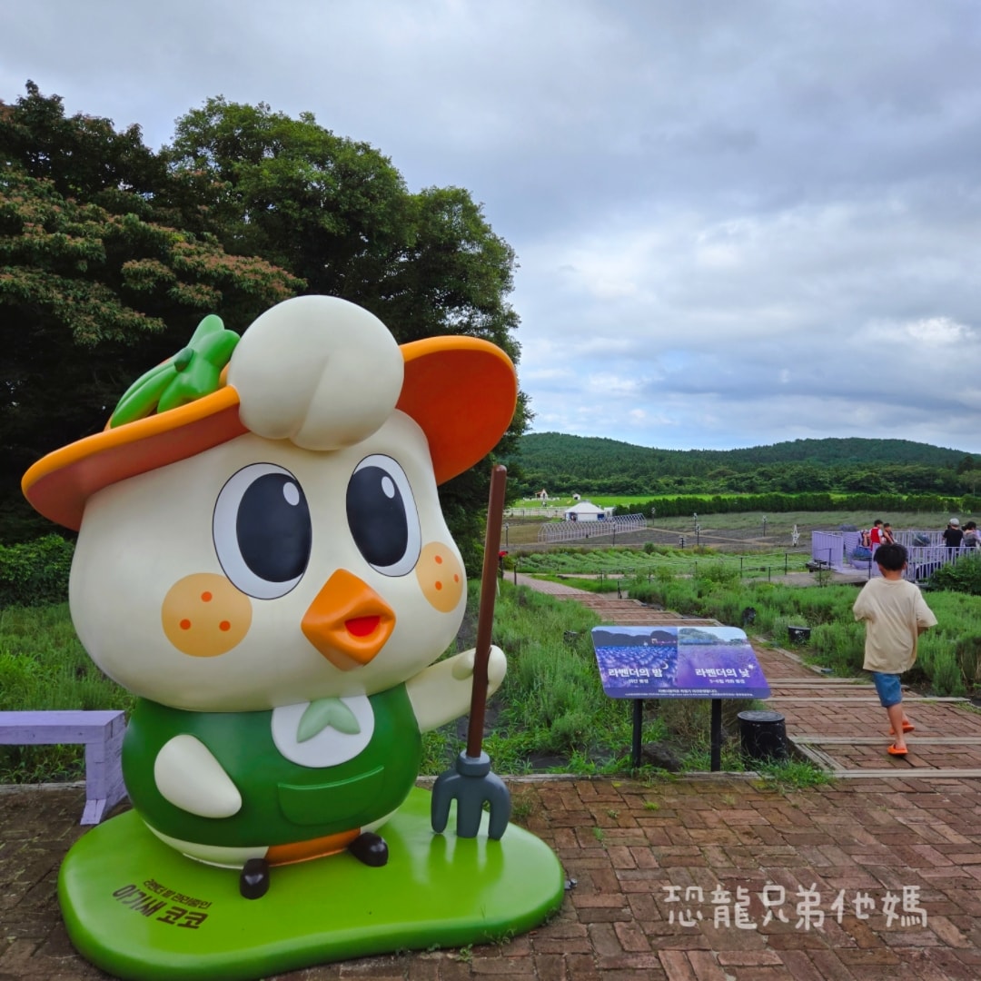 韓國‧濟州島│親子必玩 “ECOLAND 森林小火車樂園 “，夏日限定超刺激水槍大戰，園區好美好玩又好拍，大草皮上餵馬羊，限定表演秀!2025.8