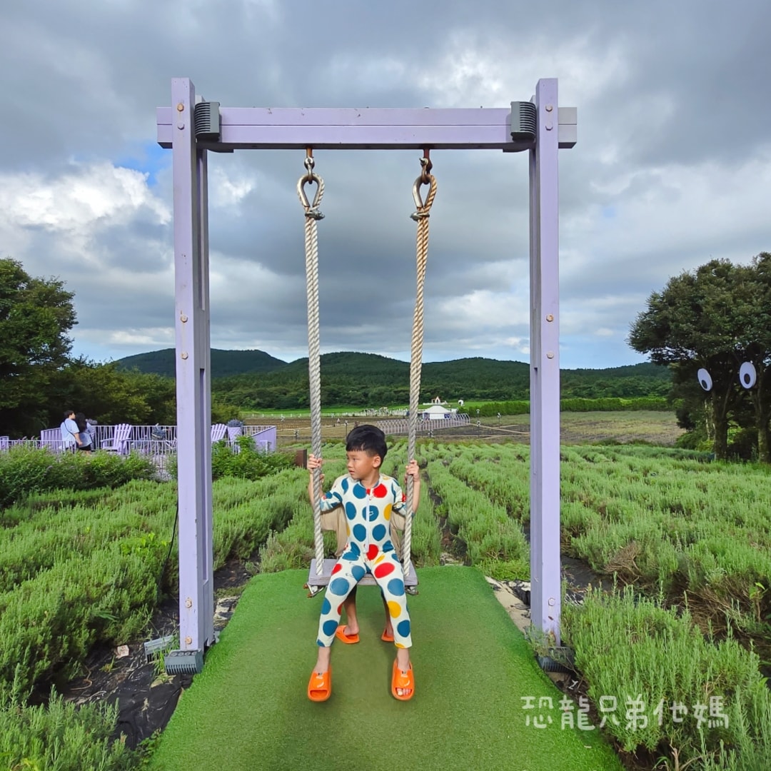 韓國‧濟州島│親子必玩 “ECOLAND 森林小火車樂園 “，夏日限定超刺激水槍大戰，園區好美好玩又好拍，大草皮上餵馬羊，限定表演秀!2025.8