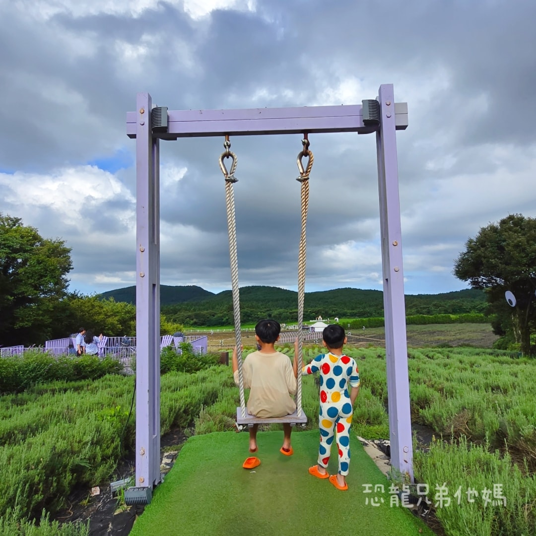 韓國‧濟州島│親子必玩 “ECOLAND 森林小火車樂園 “，夏日限定超刺激水槍大戰，園區好美好玩又好拍，大草皮上餵馬羊，限定表演秀!2025.8