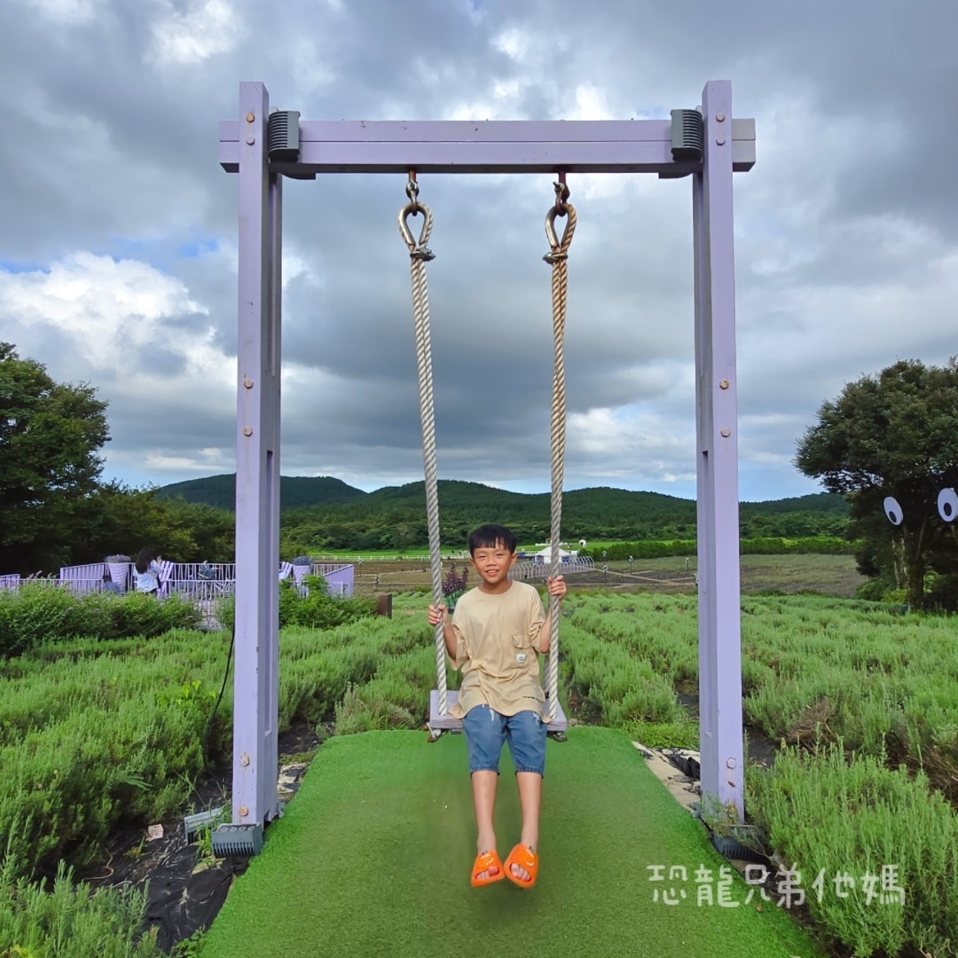 韓國‧濟州島│親子必玩 “ECOLAND 森林小火車樂園 “，夏日限定超刺激水槍大戰，園區好美好玩又好拍，大草皮上餵馬羊，限定表演秀!2025.8