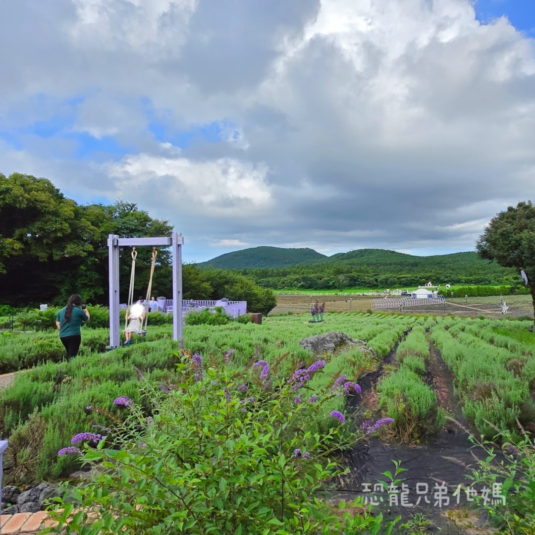 韓國‧濟州島│親子必玩 “ECOLAND 森林小火車樂園 “，夏日限定超刺激水槍大戰，園區好美好玩又好拍，大草皮上餵馬羊，限定表演秀!2025.8