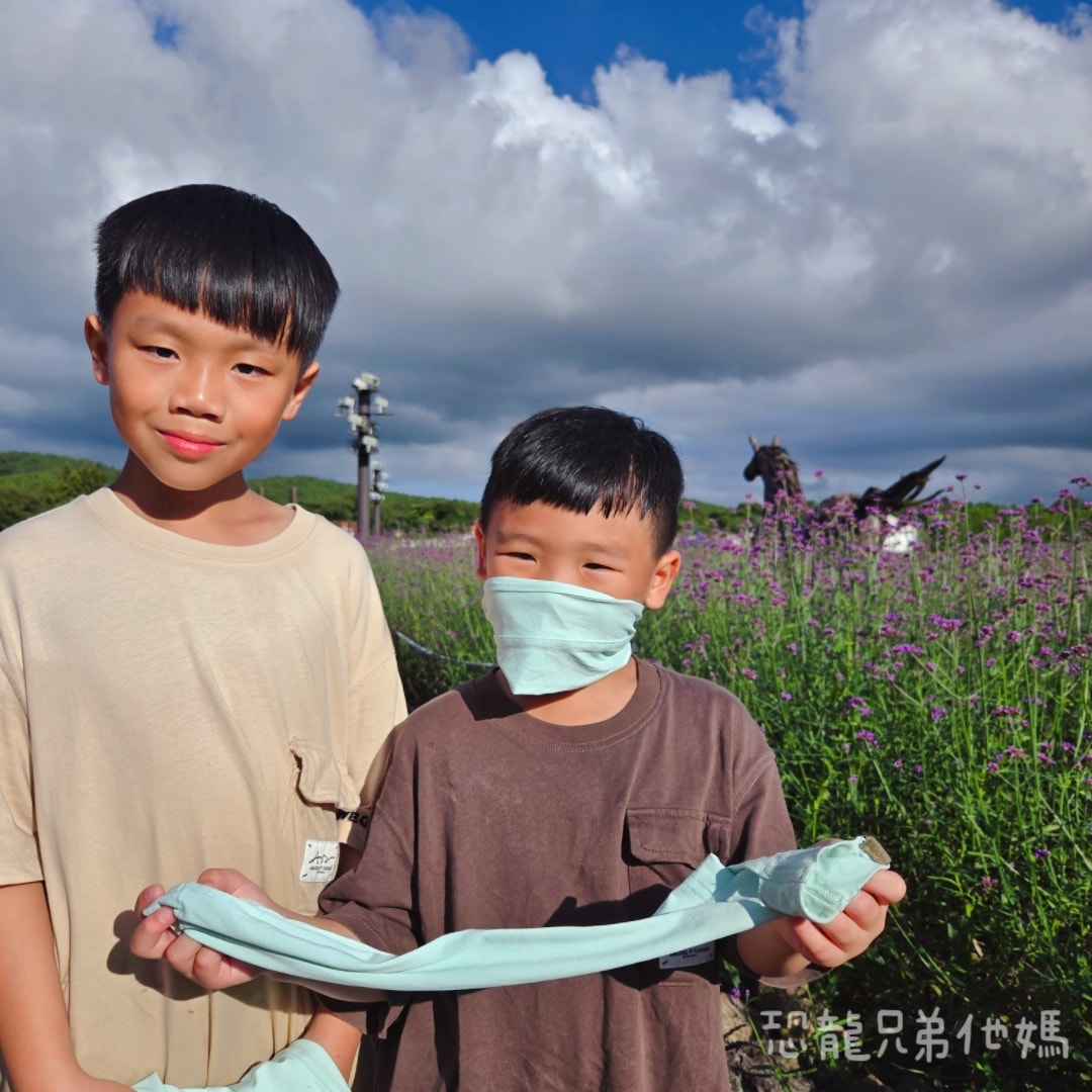 韓國‧濟州島│親子必玩 “ECOLAND 森林小火車樂園 “，夏日限定超刺激水槍大戰，園區好美好玩又好拍，大草皮上餵馬羊，限定表演秀!2025.8