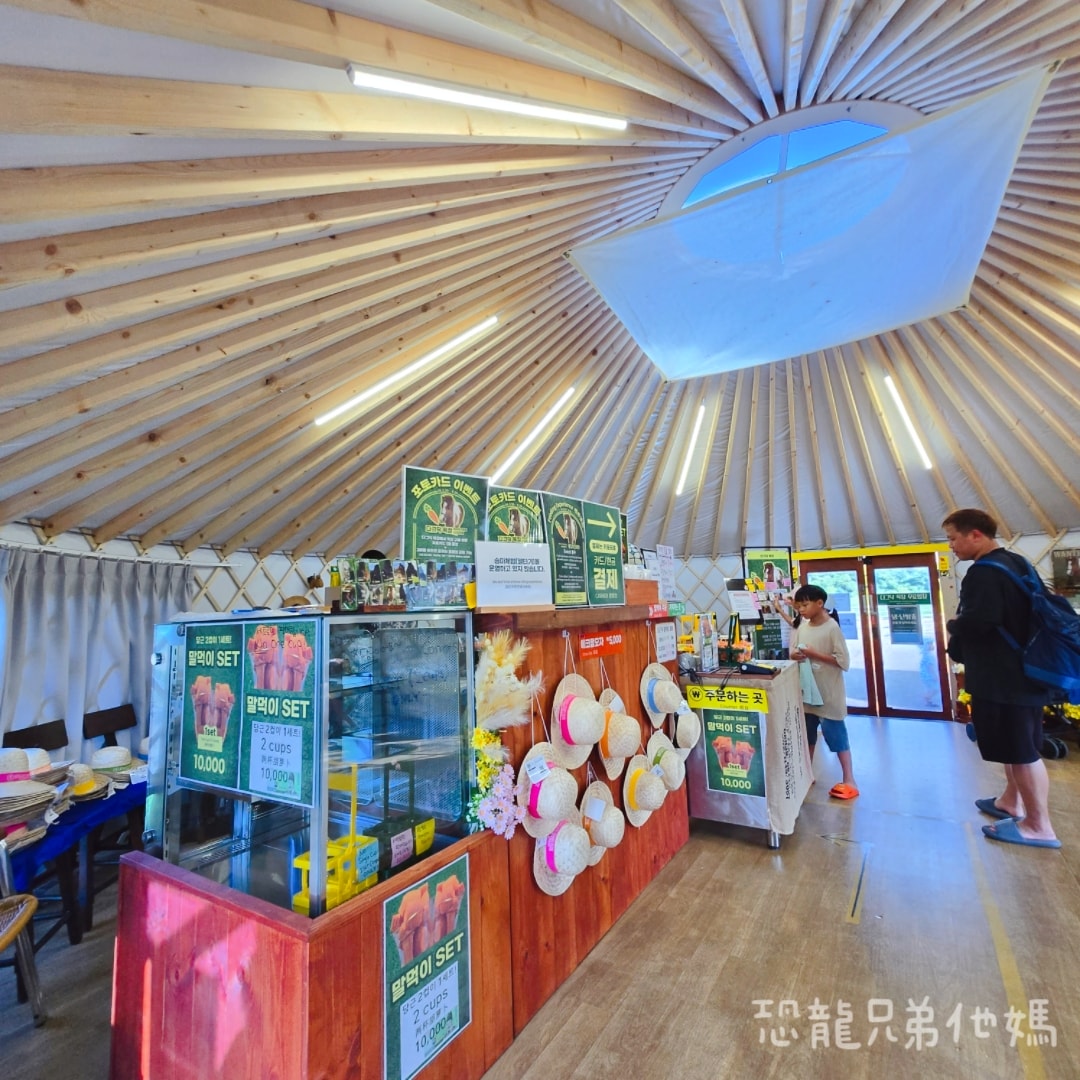 韓國‧濟州島│親子必玩 “ECOLAND 森林小火車樂園 “，夏日限定超刺激水槍大戰，園區好美好玩又好拍，大草皮上餵馬羊，限定表演秀!2025.8