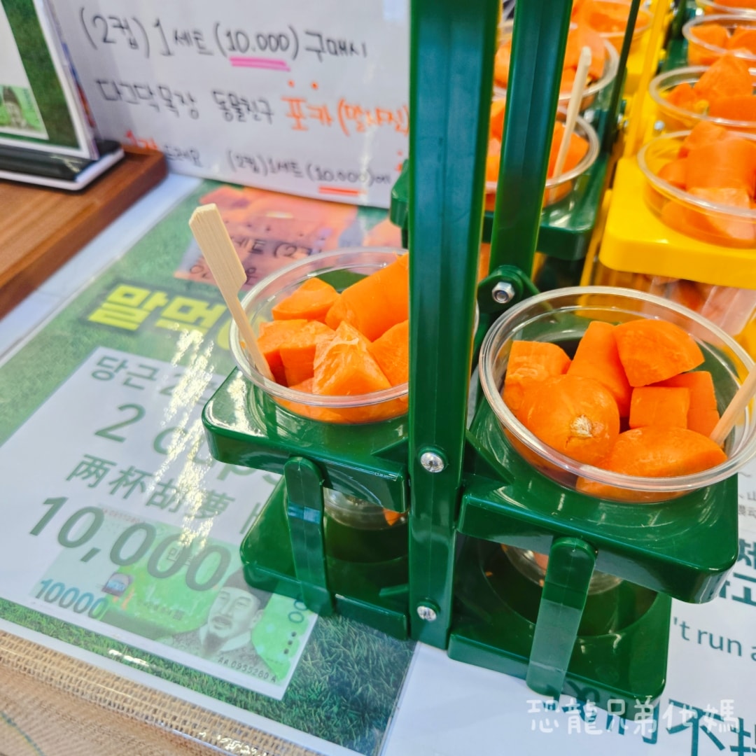 韓國‧濟州島│親子必玩 “ECOLAND 森林小火車樂園 “，夏日限定超刺激水槍大戰，園區好美好玩又好拍，大草皮上餵馬羊，限定表演秀!2025.8