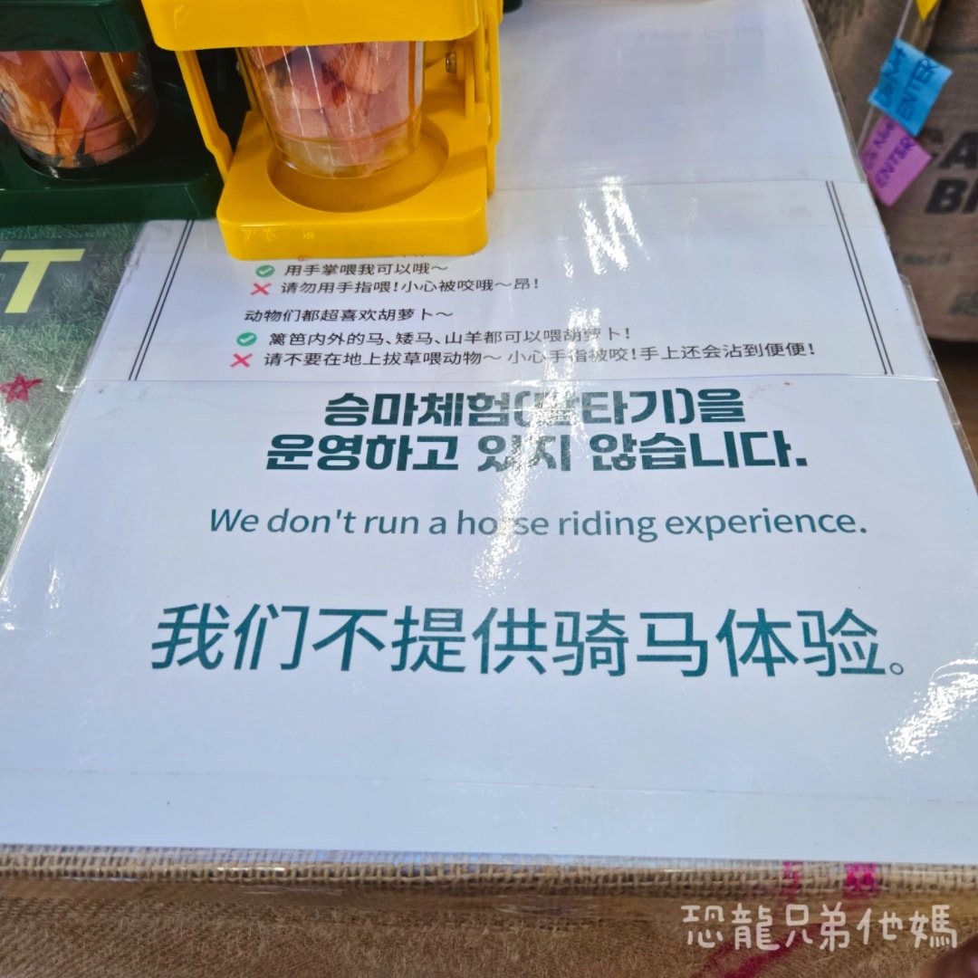 韓國‧濟州島│親子必玩 “ECOLAND 森林小火車樂園 “，夏日限定超刺激水槍大戰，園區好美好玩又好拍，大草皮上餵馬羊，限定表演秀!2025.8