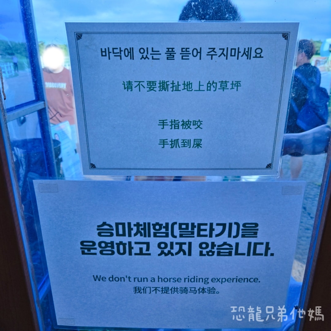 韓國‧濟州島│親子必玩 “ECOLAND 森林小火車樂園 “，夏日限定超刺激水槍大戰，園區好美好玩又好拍，大草皮上餵馬羊，限定表演秀!2025.8
