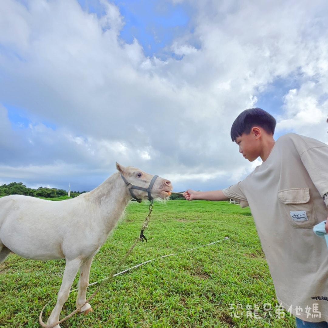 韓國‧濟州島│親子必玩 “ECOLAND 森林小火車樂園 “，夏日限定超刺激水槍大戰，園區好美好玩又好拍，大草皮上餵馬羊，限定表演秀!2025.8