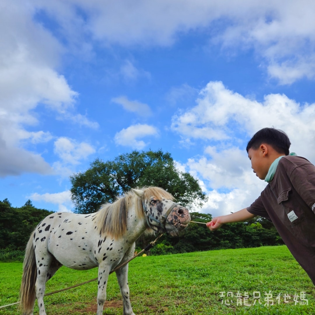 韓國‧濟州島│親子必玩 “ECOLAND 森林小火車樂園 “，夏日限定超刺激水槍大戰，園區好美好玩又好拍，大草皮上餵馬羊，限定表演秀!2025.8