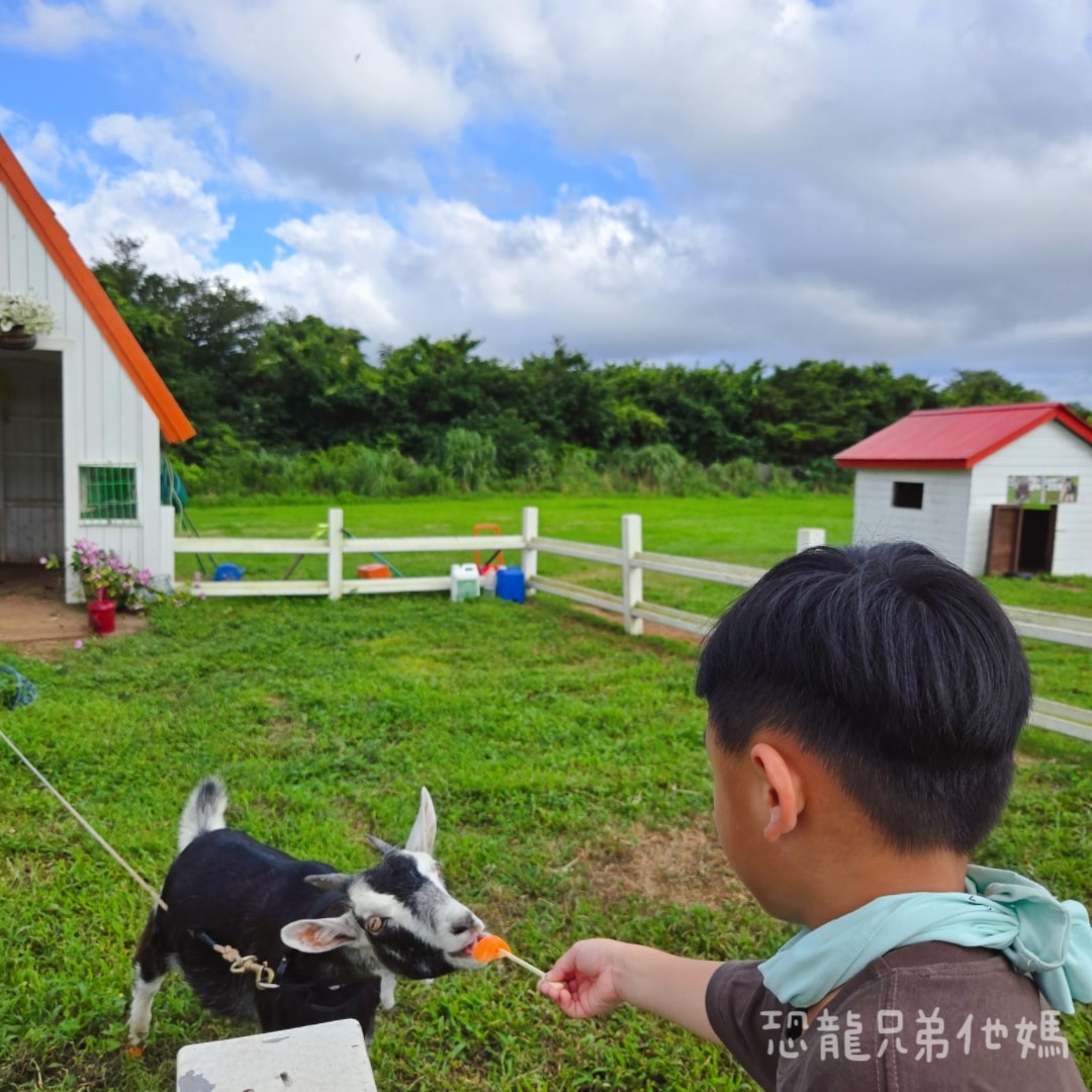 韓國‧濟州島│親子必玩 “ECOLAND 森林小火車樂園 “，夏日限定超刺激水槍大戰，園區好美好玩又好拍，大草皮上餵馬羊，限定表演秀!2025.8