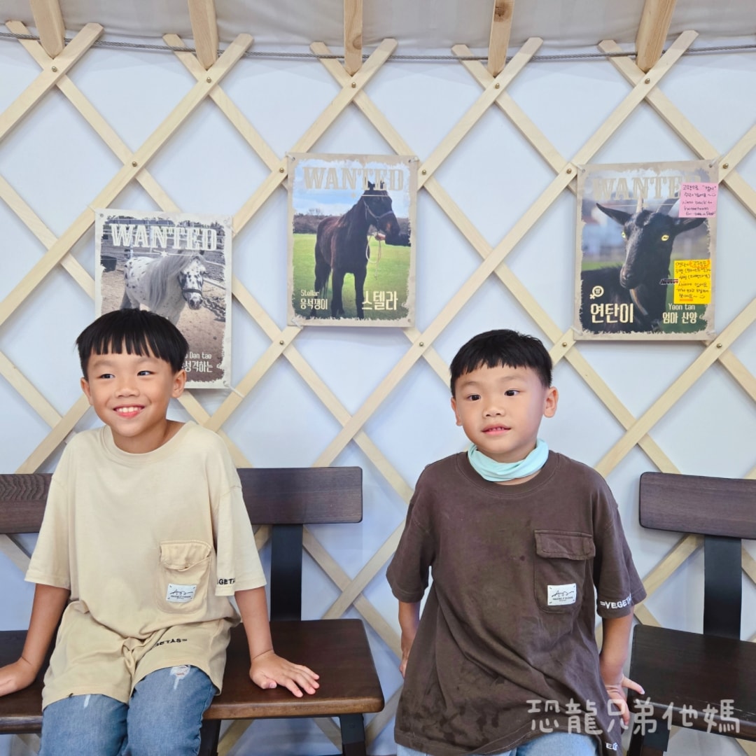 韓國‧濟州島│親子必玩 “ECOLAND 森林小火車樂園 “，夏日限定超刺激水槍大戰，園區好美好玩又好拍，大草皮上餵馬羊，限定表演秀!2025.8
