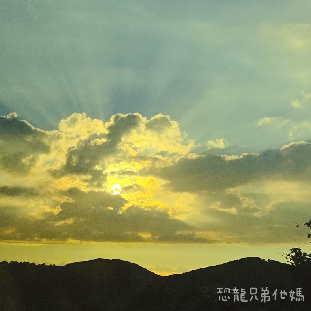 韓國‧濟州島│親子必玩 “ECOLAND 森林小火車樂園 “，夏日限定超刺激水槍大戰，園區好美好玩又好拍，大草皮上餵馬羊，限定表演秀!2025.8