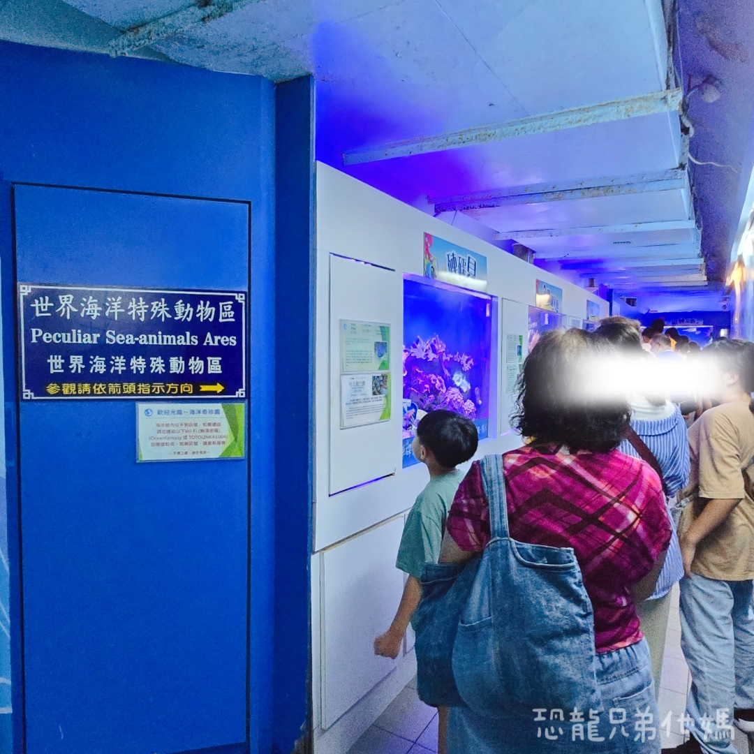 高雄‧鳥松】澄清湖海洋奇珍園│魚兒種類豐富、有觸摸區、多樣珊瑚、貝殼、恐龍蛋化石展示。預計營業到2025年12月31日 - 第13張圖 高雄‧鳥松】澄清湖海洋奇珍園│魚兒種類豐富、有觸摸區、多樣珊瑚、貝殼、恐龍蛋化石展示。預計營業到2025年12月31日