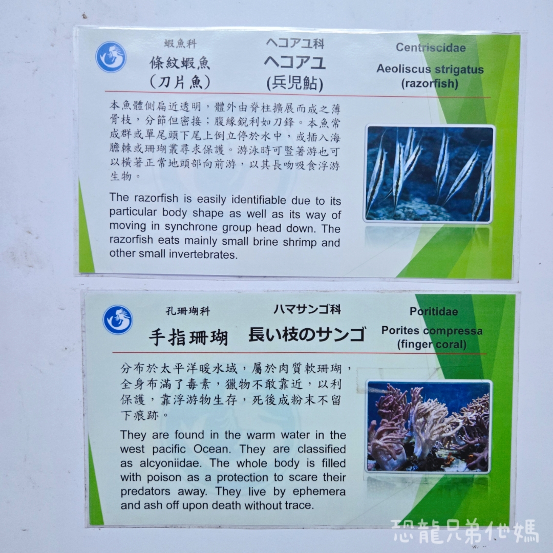 高雄‧鳥松】澄清湖海洋奇珍園│魚兒種類豐富、有觸摸區、多樣珊瑚、貝殼、恐龍蛋化石展示。預計營業到2025年12月31日