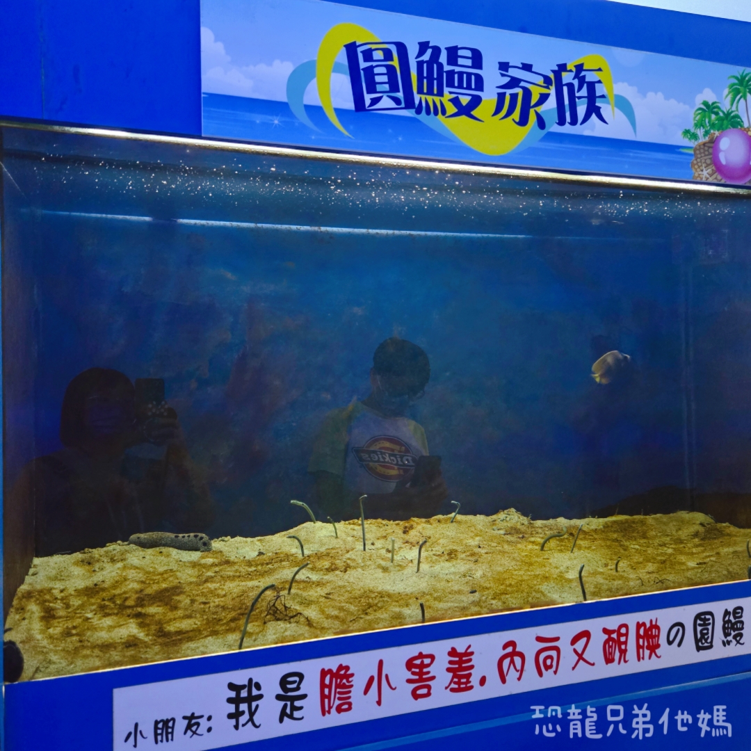 高雄‧鳥松】澄清湖海洋奇珍園│魚兒種類豐富、有觸摸區、多樣珊瑚、貝殼、恐龍蛋化石展示。預計營業到2025年12月31日