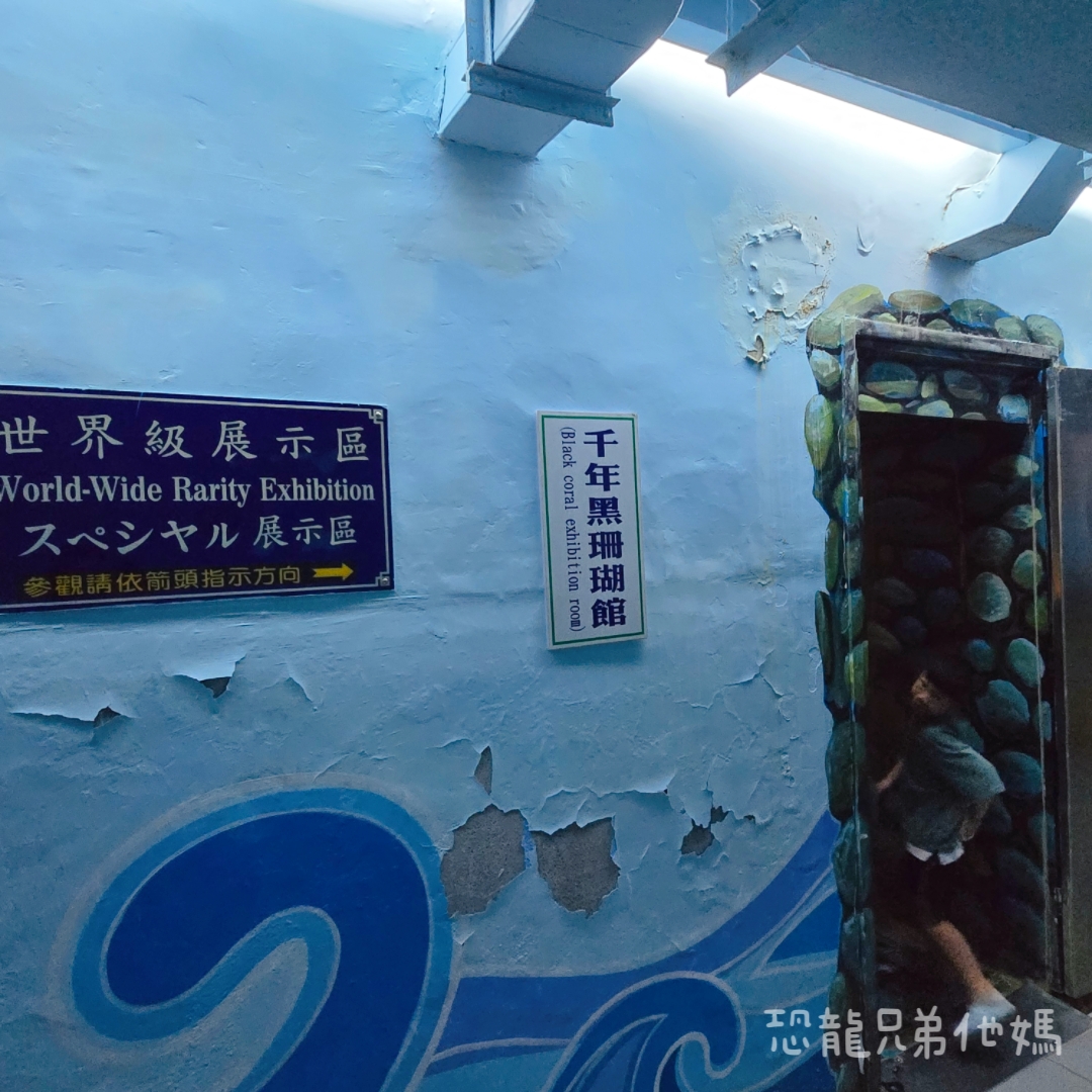 高雄‧鳥松】澄清湖海洋奇珍園│魚兒種類豐富、有觸摸區、多樣珊瑚、貝殼、恐龍蛋化石展示。預計營業到2025年12月31日 - 第61張圖 高雄‧鳥松】澄清湖海洋奇珍園│魚兒種類豐富、有觸摸區、多樣珊瑚、貝殼、恐龍蛋化石展示。預計營業到2025年12月31日