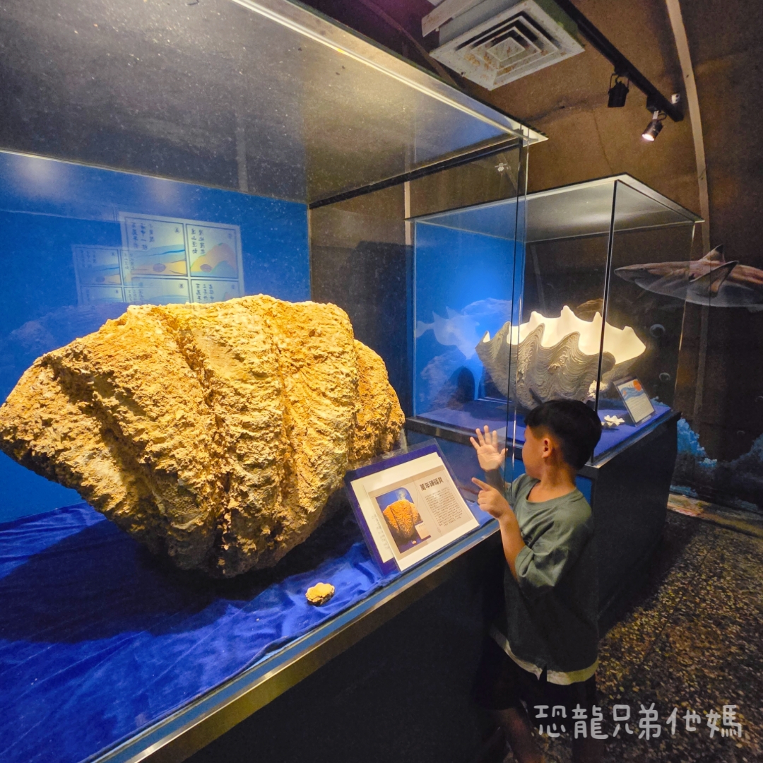 高雄‧鳥松】澄清湖海洋奇珍園│魚兒種類豐富、有觸摸區、多樣珊瑚、貝殼、恐龍蛋化石展示。預計營業到2025年12月31日