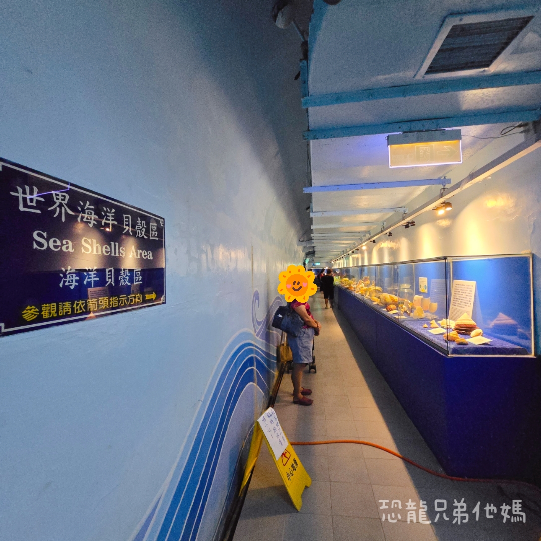 高雄‧鳥松】澄清湖海洋奇珍園│魚兒種類豐富、有觸摸區、多樣珊瑚、貝殼、恐龍蛋化石展示。預計營業到2025年12月31日 - 第65張圖 高雄‧鳥松】澄清湖海洋奇珍園│魚兒種類豐富、有觸摸區、多樣珊瑚、貝殼、恐龍蛋化石展示。預計營業到2025年12月31日