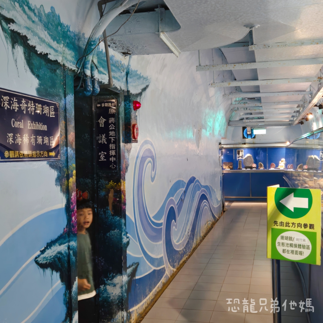 高雄‧鳥松】澄清湖海洋奇珍園│魚兒種類豐富、有觸摸區、多樣珊瑚、貝殼、恐龍蛋化石展示。預計營業到2025年12月31日 - 第79張圖 高雄‧鳥松】澄清湖海洋奇珍園│魚兒種類豐富、有觸摸區、多樣珊瑚、貝殼、恐龍蛋化石展示。預計營業到2025年12月31日