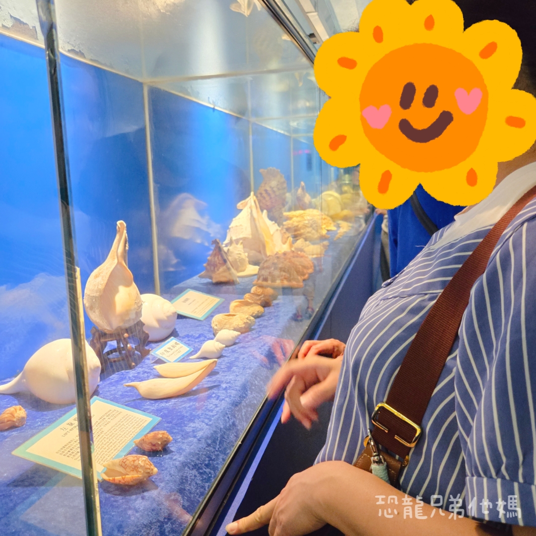 高雄‧鳥松】澄清湖海洋奇珍園│魚兒種類豐富、有觸摸區、多樣珊瑚、貝殼、恐龍蛋化石展示。預計營業到2025年12月31日
