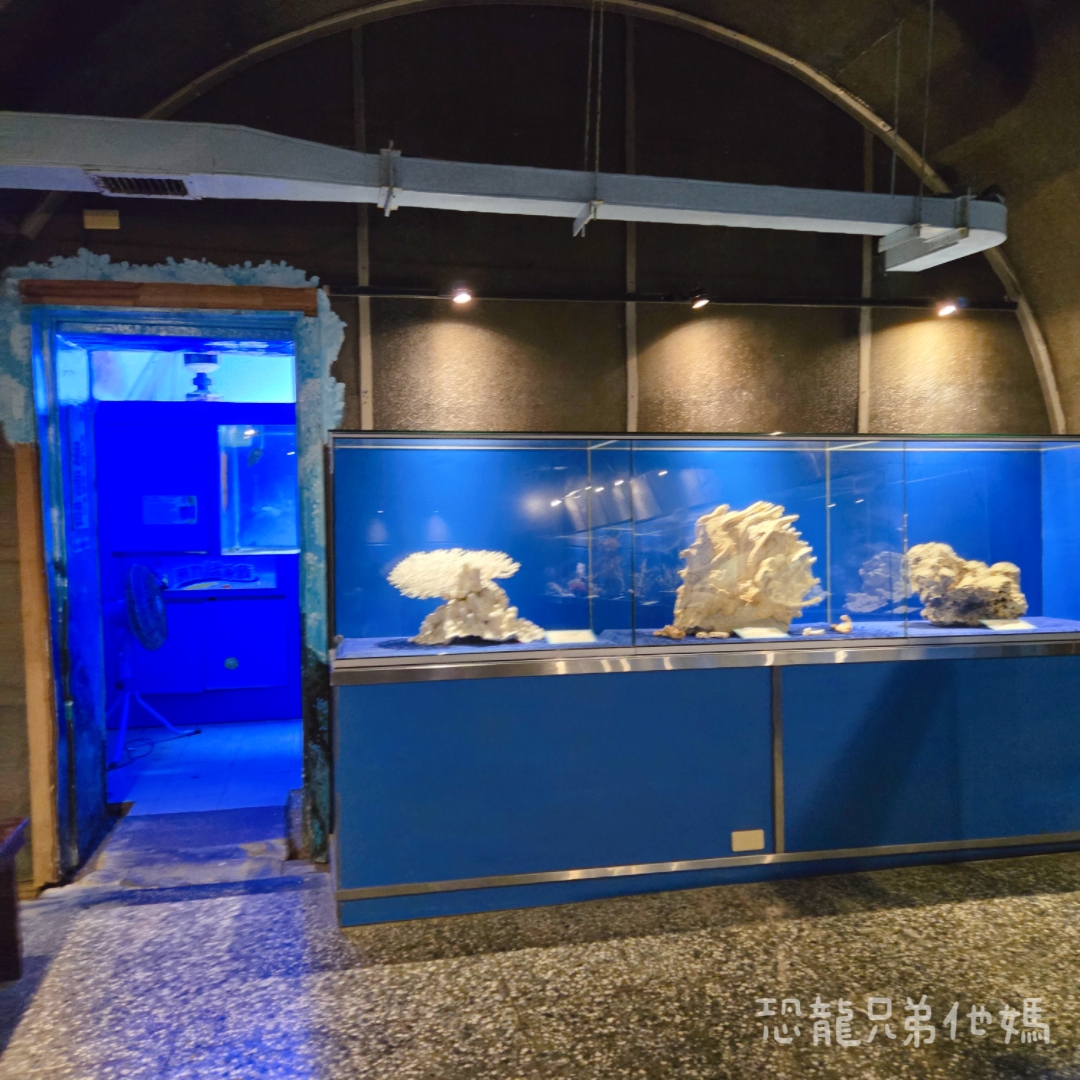 高雄‧鳥松】澄清湖海洋奇珍園│魚兒種類豐富、有觸摸區、多樣珊瑚、貝殼、恐龍蛋化石展示。預計營業到2025年12月31日