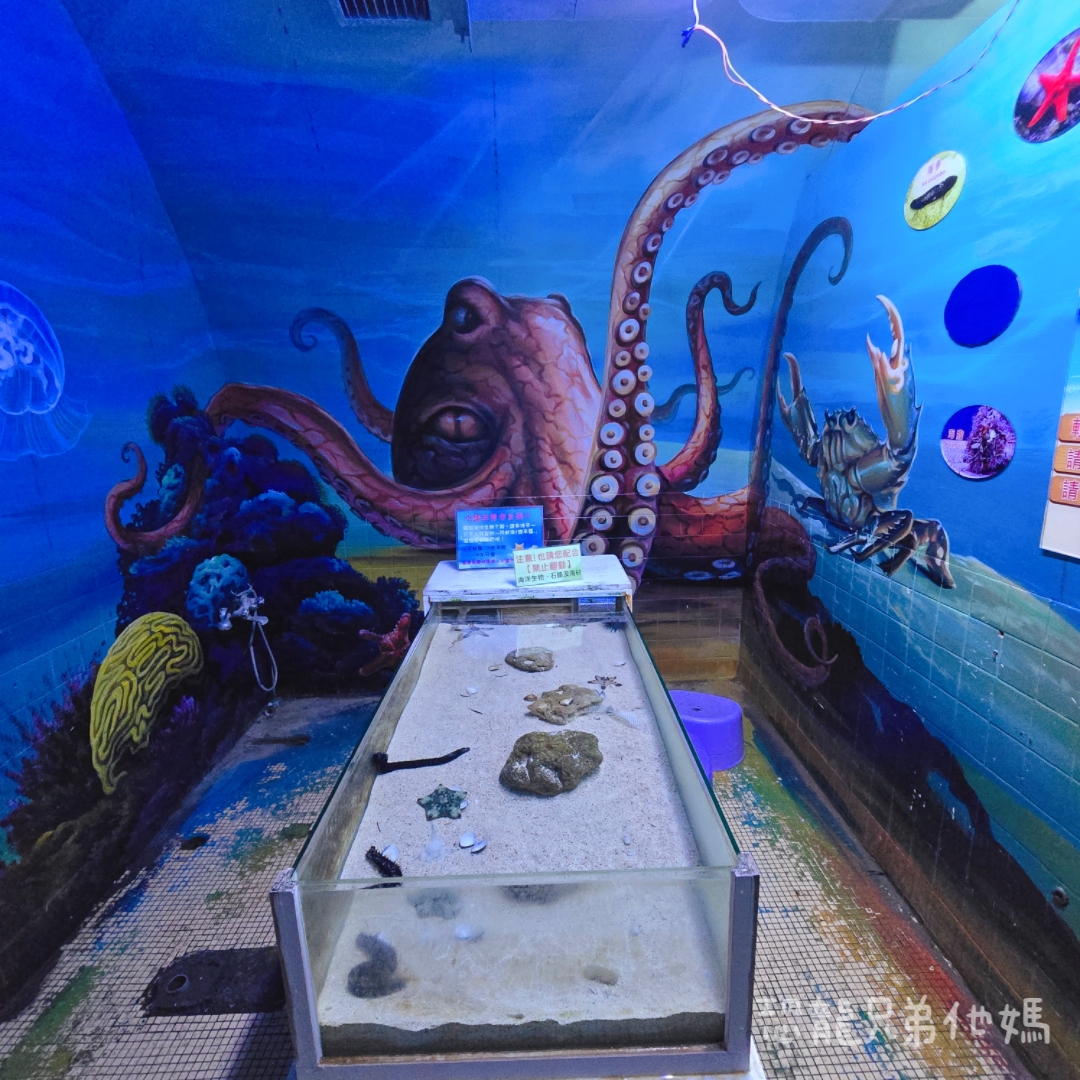 高雄‧鳥松】澄清湖海洋奇珍園│魚兒種類豐富、有觸摸區、多樣珊瑚、貝殼、恐龍蛋化石展示。預計營業到2025年12月31日 - 第93張圖 高雄‧鳥松】澄清湖海洋奇珍園│魚兒種類豐富、有觸摸區、多樣珊瑚、貝殼、恐龍蛋化石展示。預計營業到2025年12月31日