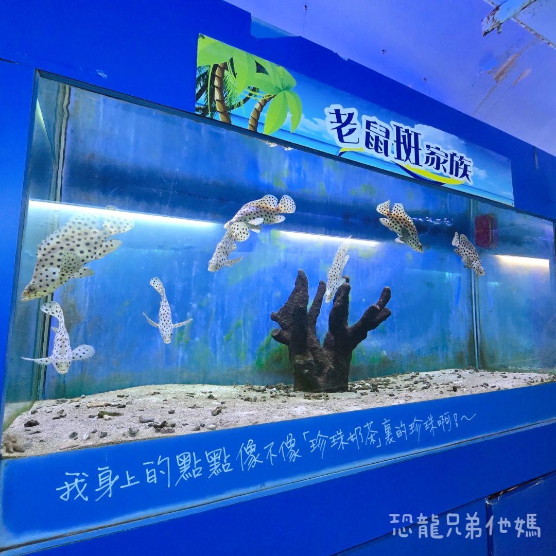 高雄‧鳥松】澄清湖海洋奇珍園│魚兒種類豐富、有觸摸區、多樣珊瑚、貝殼、恐龍蛋化石展示。預計營業到2025年12月31日