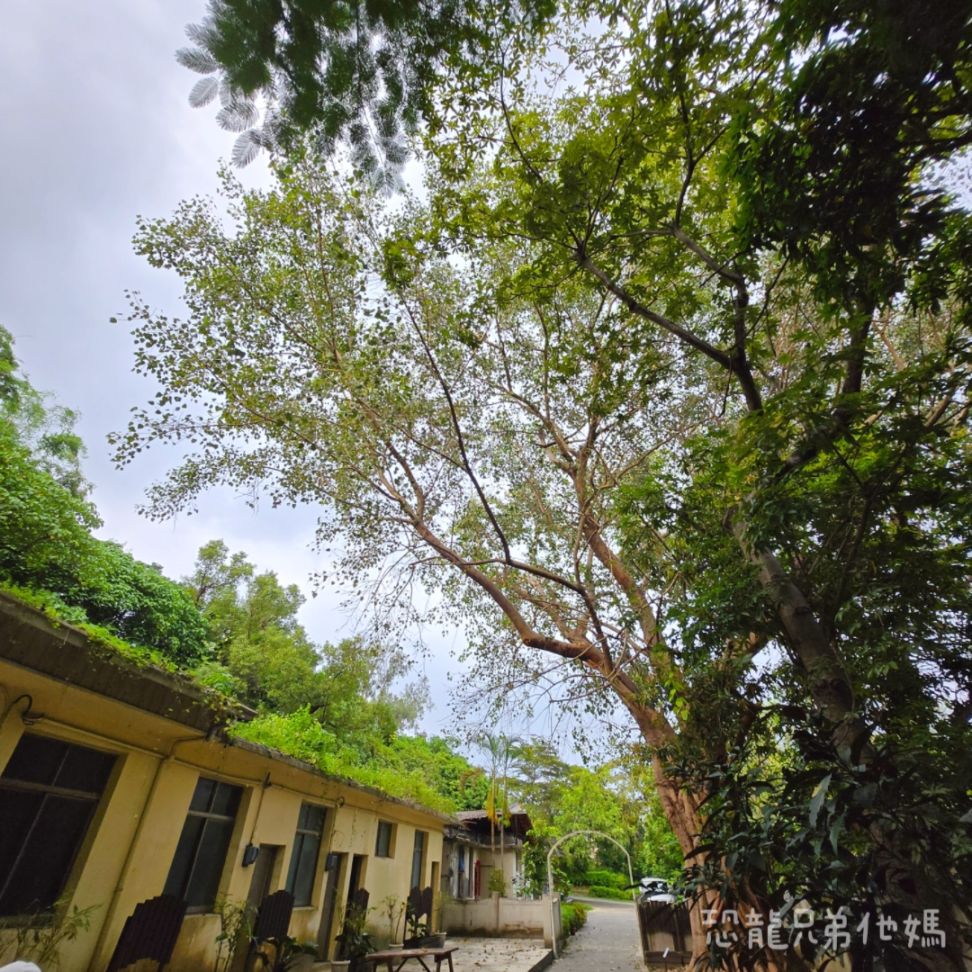 高雄‧鳥松】澄清湖海洋奇珍園│魚兒種類豐富、有觸摸區、多樣珊瑚、貝殼、恐龍蛋化石展示。預計營業到2025年12月31日