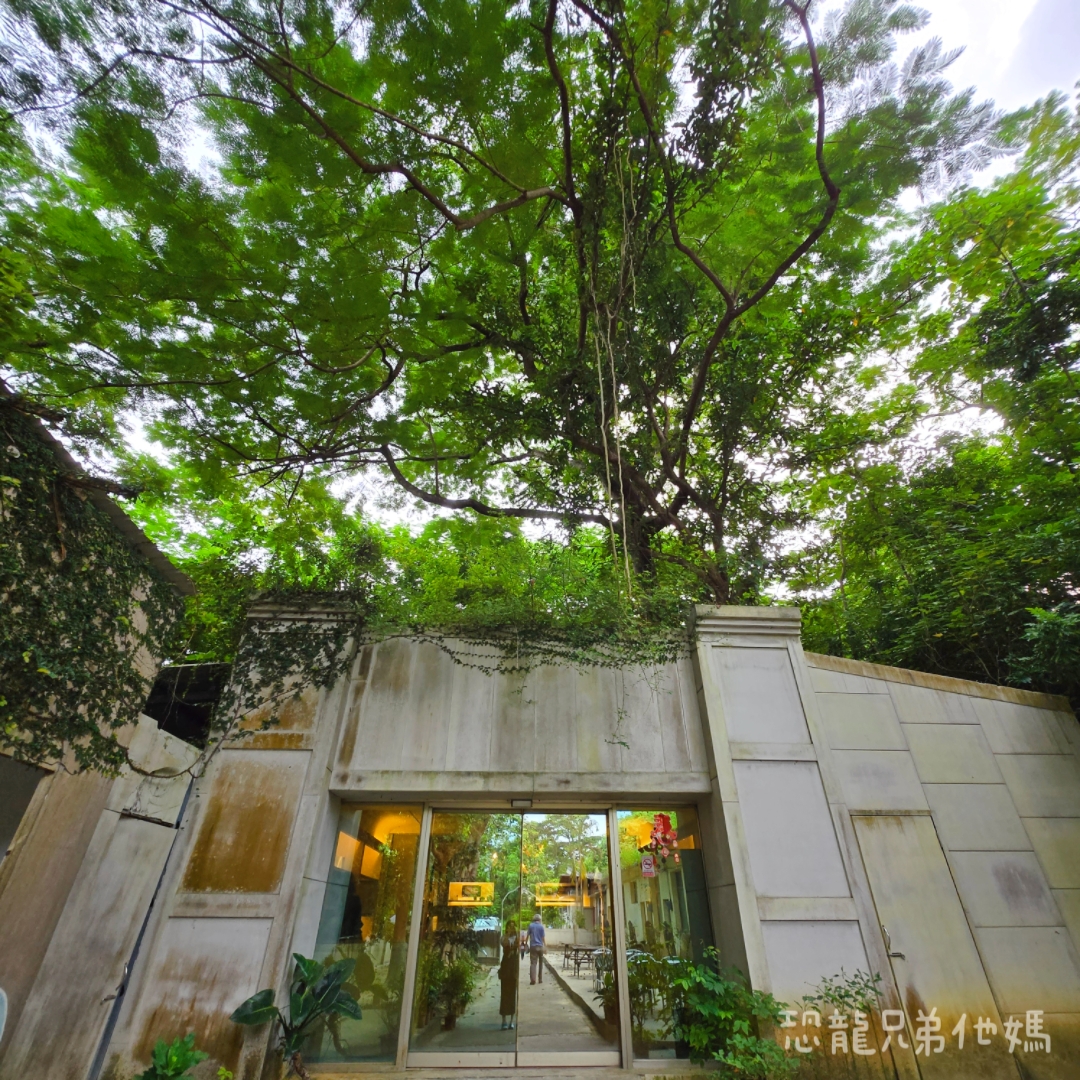 高雄‧鳥松】澄清湖海洋奇珍園│魚兒種類豐富、有觸摸區、多樣珊瑚、貝殼、恐龍蛋化石展示。預計營業到2025年12月31日 - 第110張圖 高雄‧鳥松】澄清湖海洋奇珍園│魚兒種類豐富、有觸摸區、多樣珊瑚、貝殼、恐龍蛋化石展示。預計營業到2025年12月31日