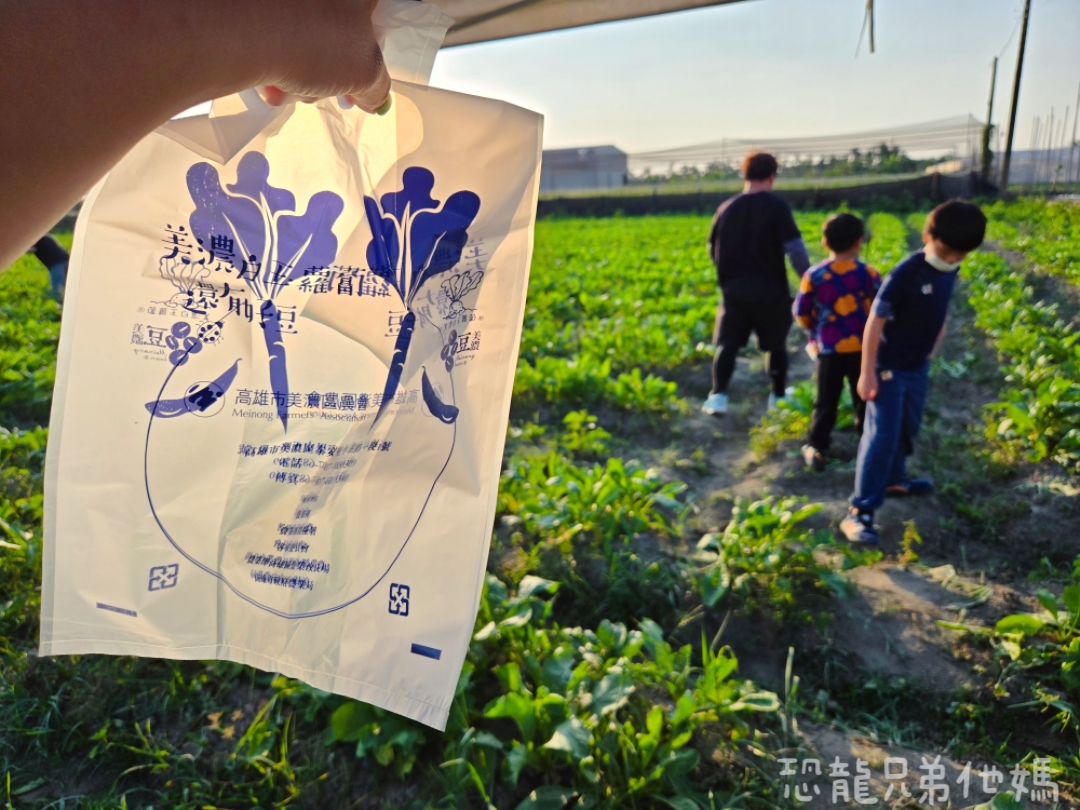 高雄‧美濃│冬天限定‧來採白玉蘿蔔囉! 150元裝好裝滿,親子一起採,好玩好開心! - 第1張圖 高雄‧美濃│冬天限定‧來採白玉蘿蔔囉! 150元裝好裝滿,親子一起採,好玩好開心!