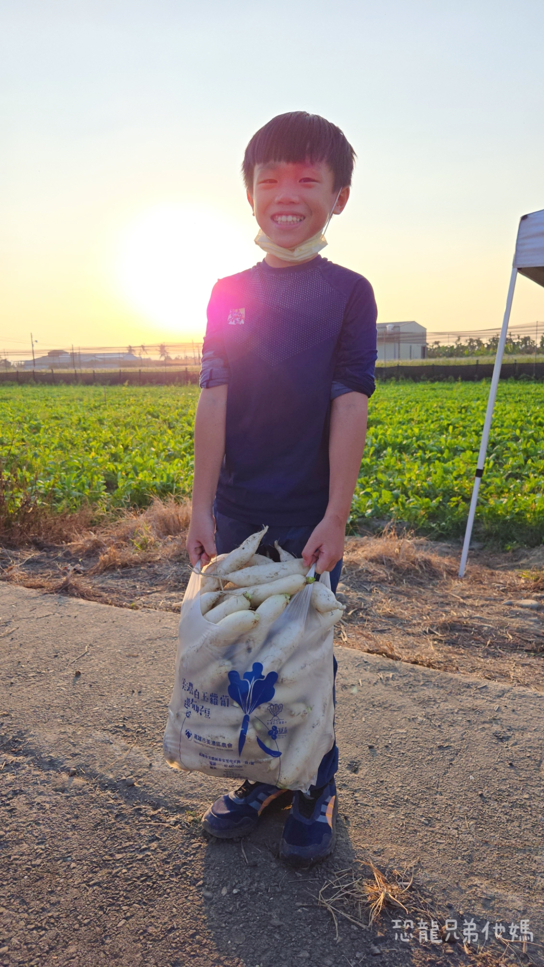 高雄‧美濃│冬天限定‧來採白玉蘿蔔囉! 150元裝好裝滿,親子一起採,好玩好開心! - 第8張圖 高雄‧美濃│冬天限定‧來採白玉蘿蔔囉! 150元裝好裝滿,親子一起採,好玩好開心!