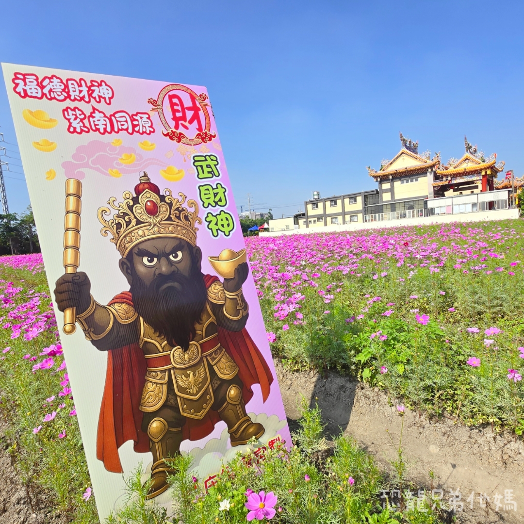 高雄‧大寮紅豆花田季,近捷運站,免費紅豆餅、小農市集、親子DIY體驗活動等,花田內可以和神明合照! - 第15張圖 高雄‧大寮紅豆花田季,近捷運站,免費紅豆餅、小農市集、親子DIY體驗活動等,花田內可以和神明合照!