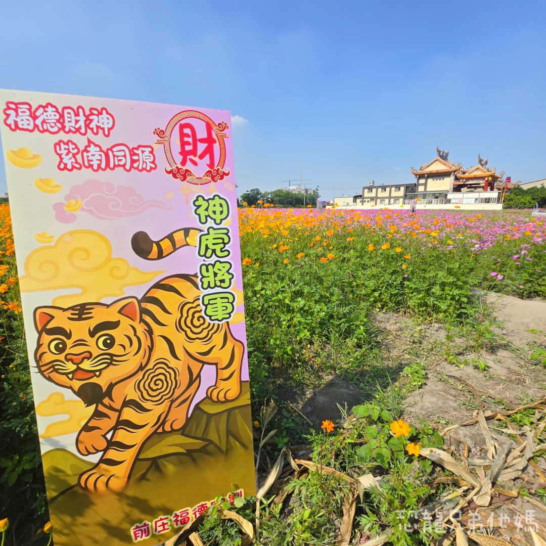 高雄‧大寮紅豆花田季，近捷運站，免費紅豆餅、小農市集、親子DIY體驗活動等，花田內可以和神明合照!