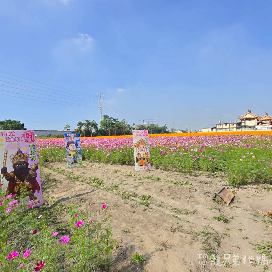 高雄‧大寮紅豆花田季,近捷運站,免費紅豆餅、小農市集、親子DIY體驗活動等,花田內可以和神明合照! - 第13張圖 高雄‧大寮紅豆花田季,近捷運站,免費紅豆餅、小農市集、親子DIY體驗活動等,花田內可以和神明合照!